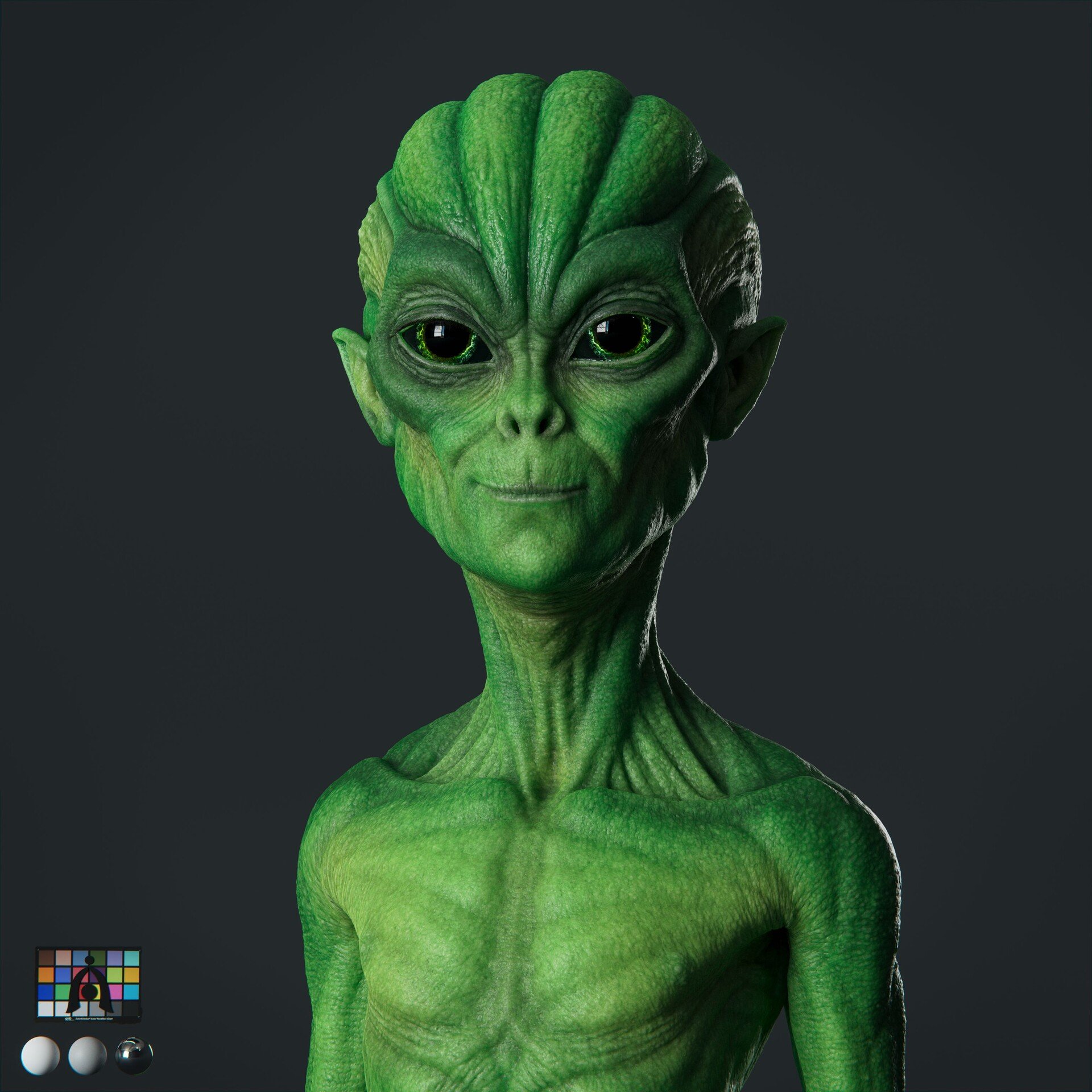 Alien Concept